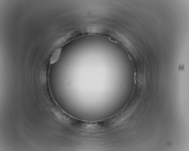 X0000096960401200802081235