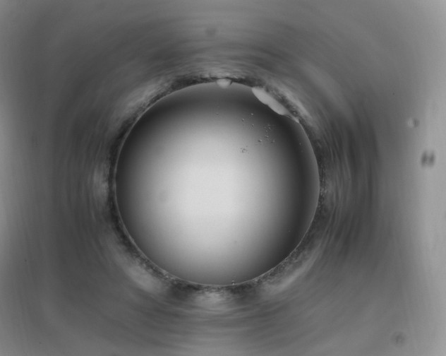 X0000096960402200802081235