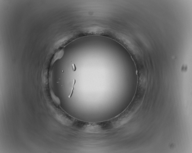 X0000096960403200802081235