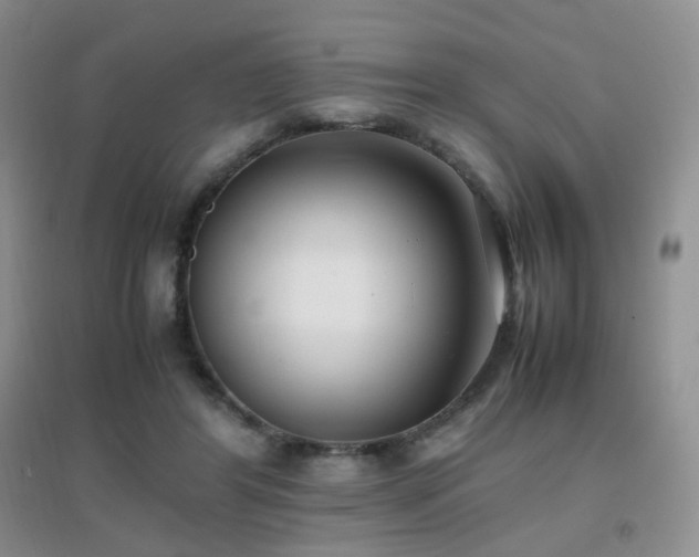 X0000096960404200802081235