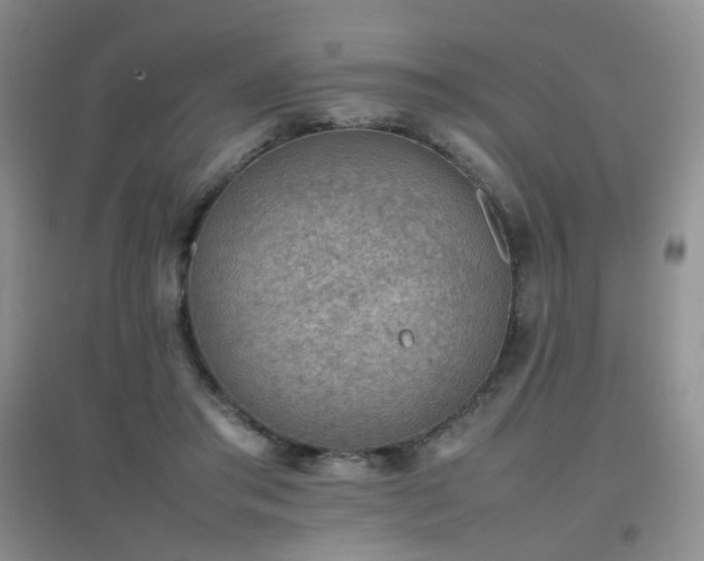 X0000096960405200802081235