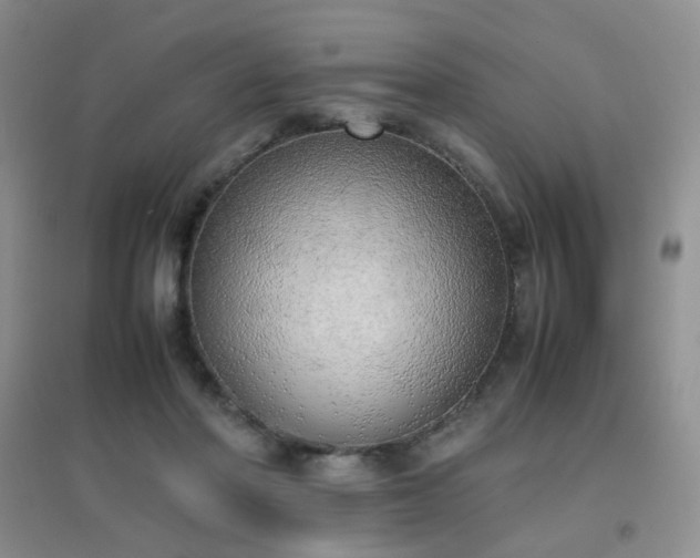 X0000096960406200802081235