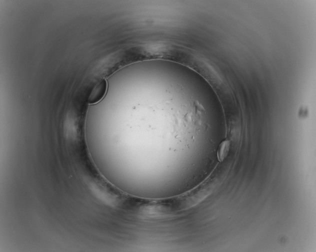 X0000096960408200802081235