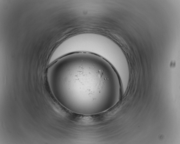 X0000096960409200802081235