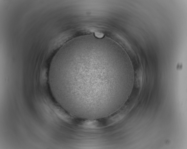 X0000096960410200802081235