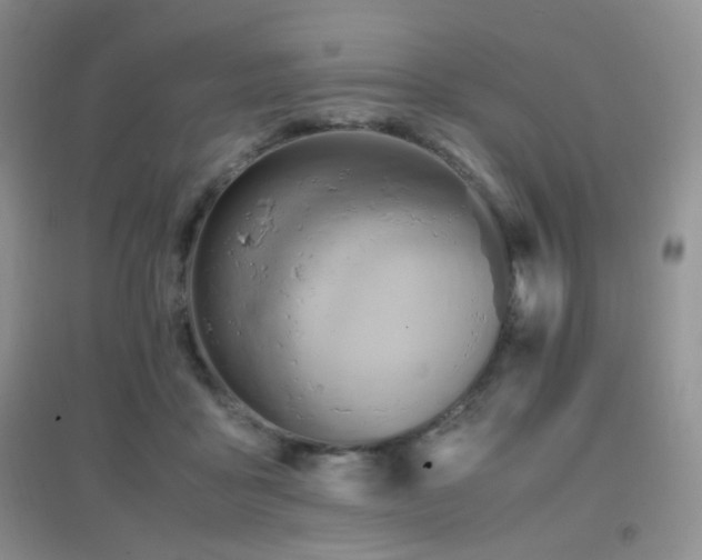 X0000096960411200802081235