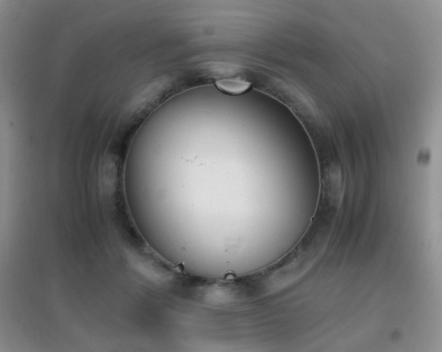 X0000096960412200802081234