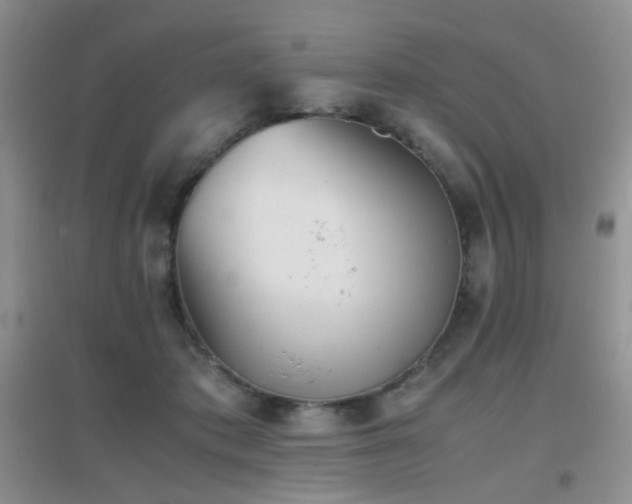 X0000096960413200802081234