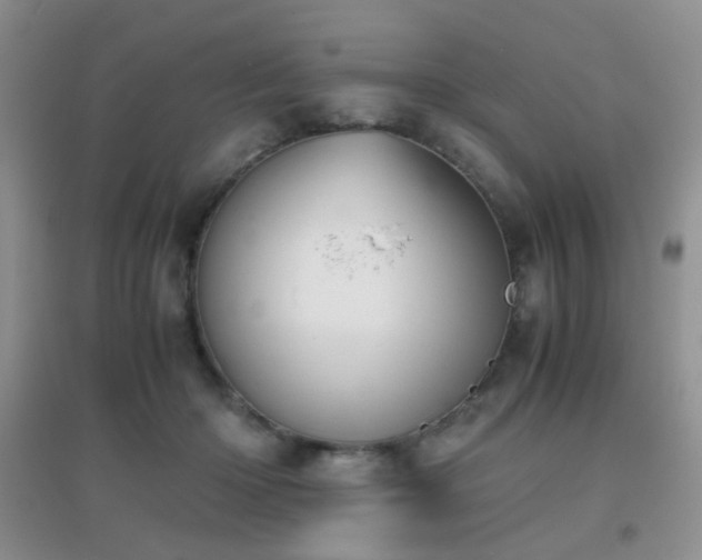 X0000096960414200802081234