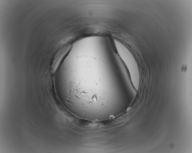 X0000096960415200802081234