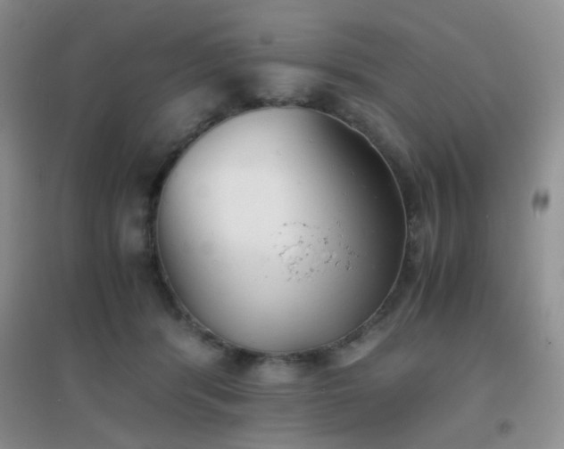 X0000096960416200802081234