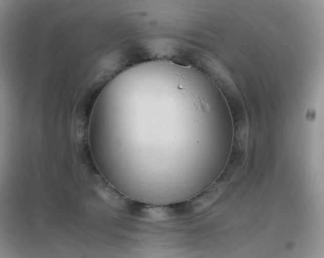 X0000096960417200802081234