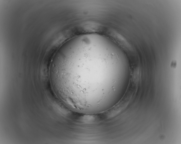 X0000096960418200802081234