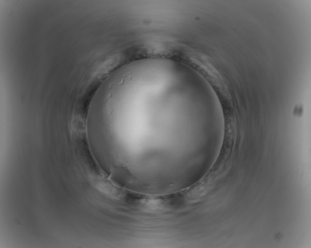 X0000096960419200802081234