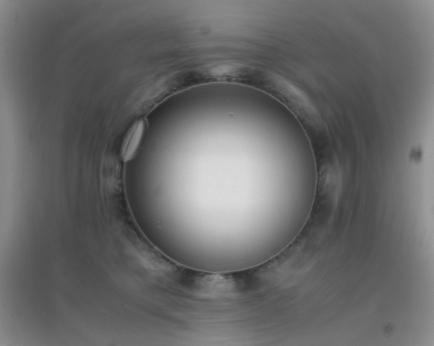 X0000096960421200802081234