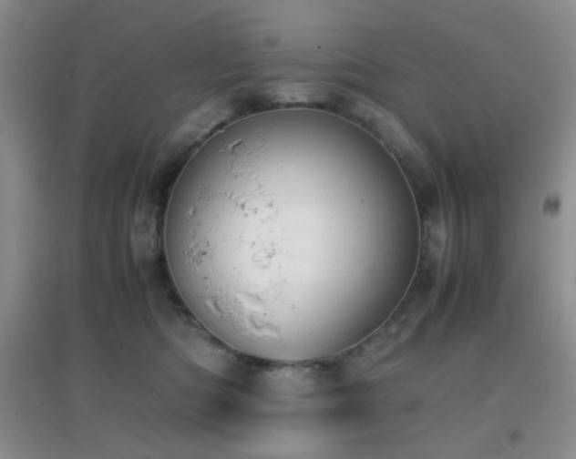 X0000096960422200802081234