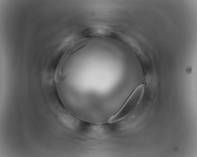 X0000096960423200802081234