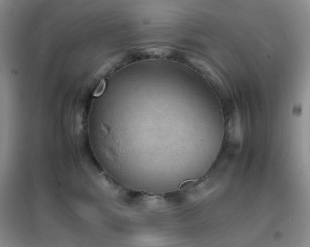 X0000096960424200802081234