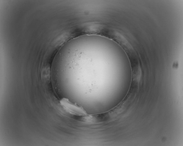 X0000096960425200802081234