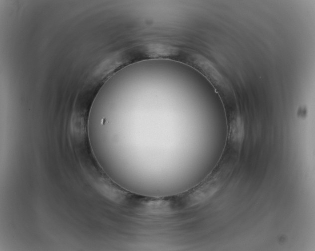 X0000096960426200802081234