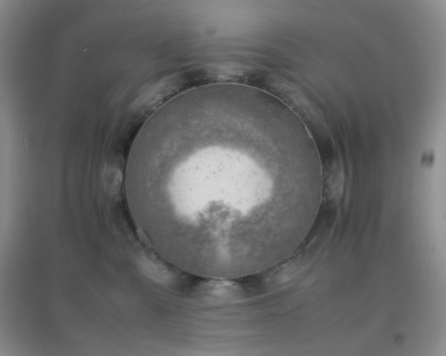 X0000096960427200802081234