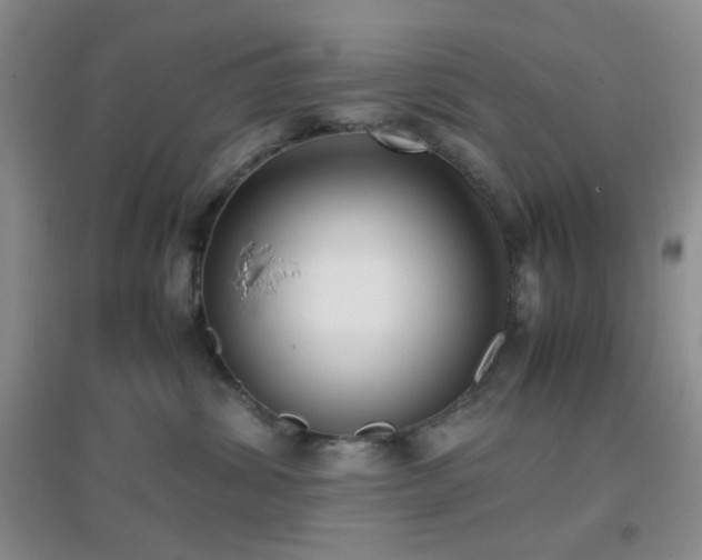 X0000096960428200802081234