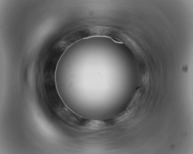 X0000096960429200802081234