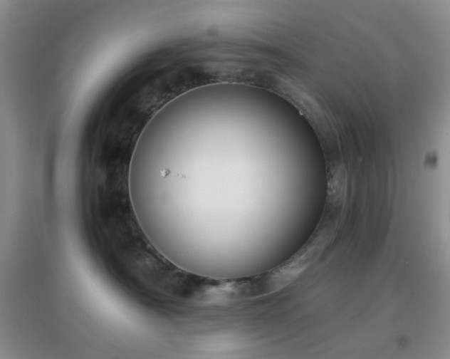 X0000096960430200802081234