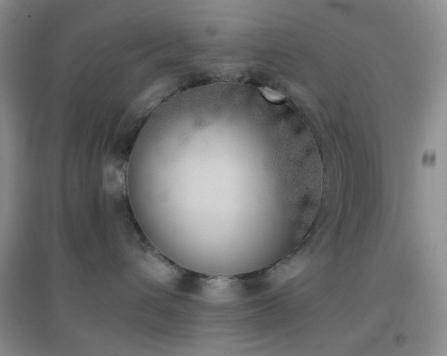 X0000096960432200802081234