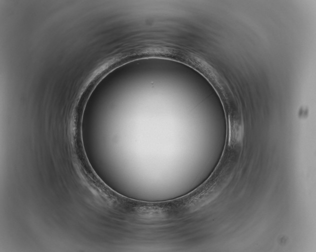 X0000096960435200802081234