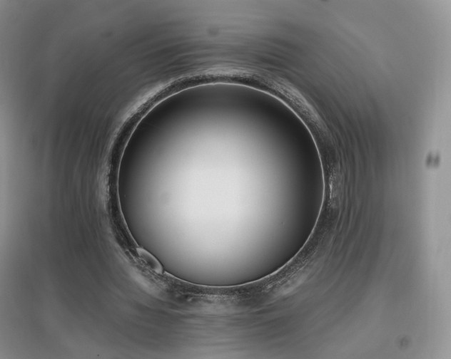 X0000096960436200802081234