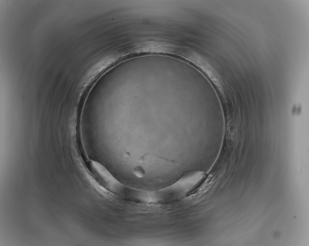 X0000096960437200802081234