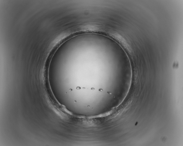 X0000096960439200802081234