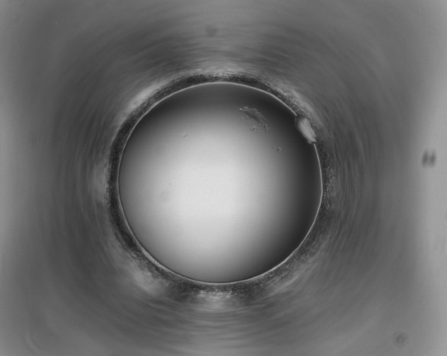 X0000096960440200802081234