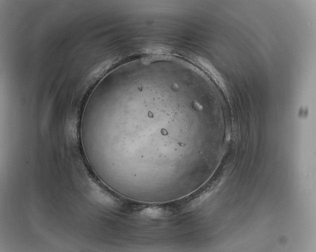 X0000096960441200802081234