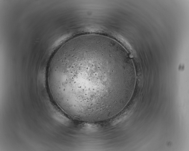 X0000096960442200802081234