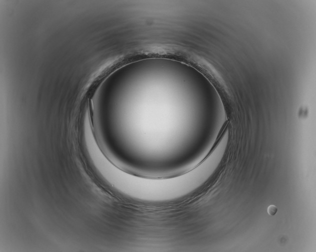 X0000096960444200802081234