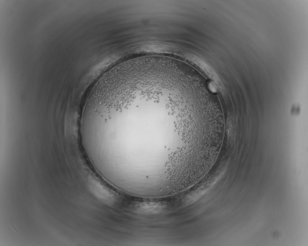 X0000096960445200802081234