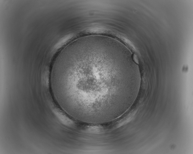 X0000096960446200802081234