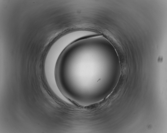 X0000096960448200802081234