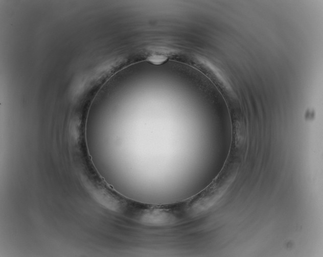 X0000096960451200802081234