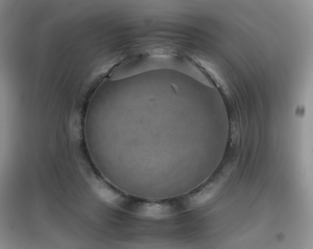 X0000096960453200802081234