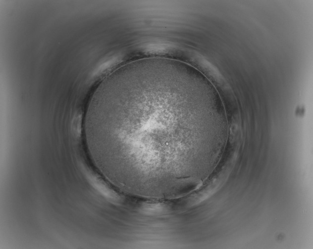 X0000096960454200802081234