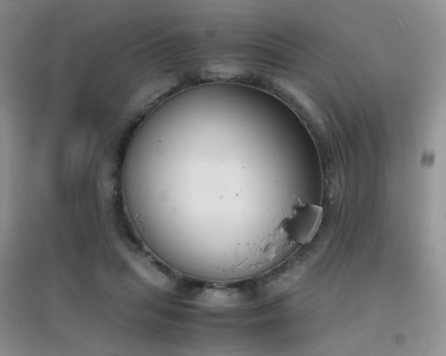 X0000096960455200802081234