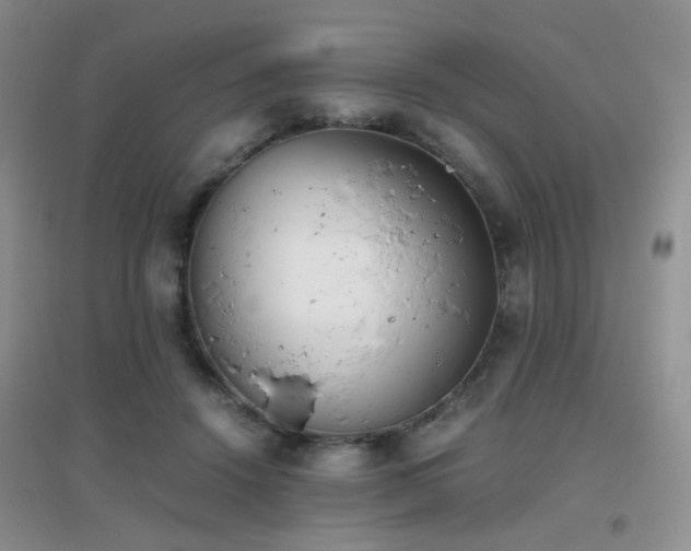 X0000096960456200802081234