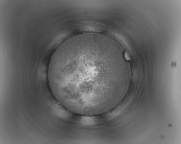 X0000096960457200802081234