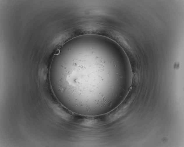 X0000096960458200802081234