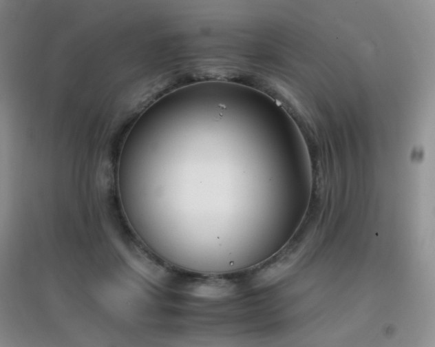 X0000096960459200802081234