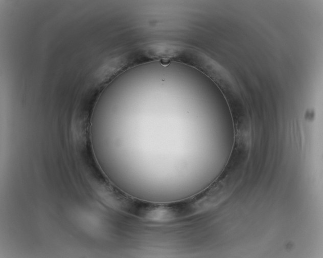 X0000096960460200802081234