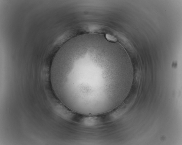 X0000096960461200802081234